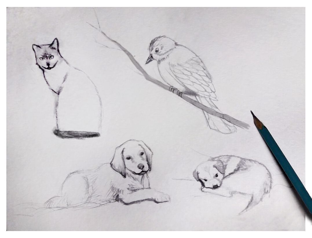 Kids Drawing Class — The Craft Revolt